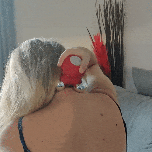 Appareil de massage rechargeable