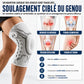 Genouillère de Maintien Articulée